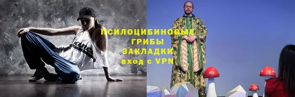 тгк Алексин
