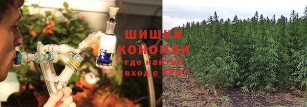 дживик Россошь