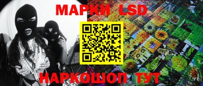 ECSTASY Новодвинск