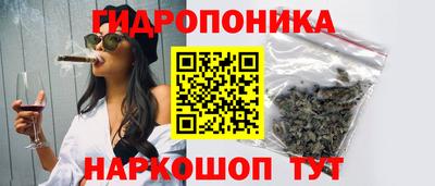 МДПВ Новозыбков