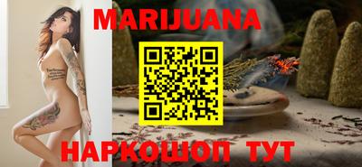 МДПВ Новозыбков