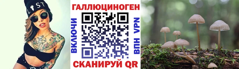 площадка как зайти  Темрюк  Галлюциногенные грибы мухоморы 