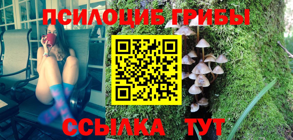Галлюциногенные грибы прущие грибы  как найти наркотики  Псилоцибиновые грибы Psilocybe  Темрюк  Вход с VPN 